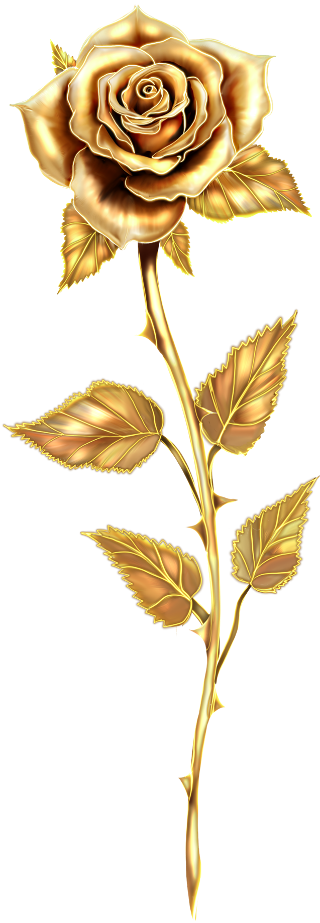 Gold Rose Illustration